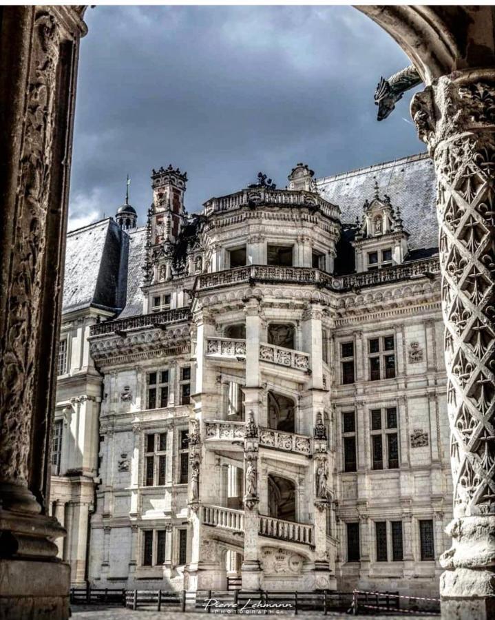Porte Chartraine Apartment Blois